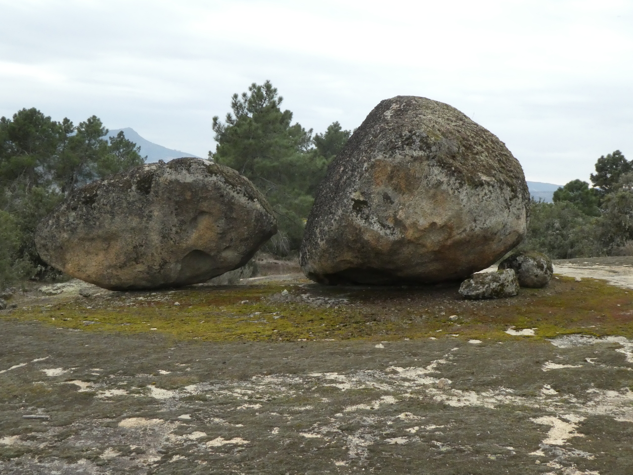 P1010125