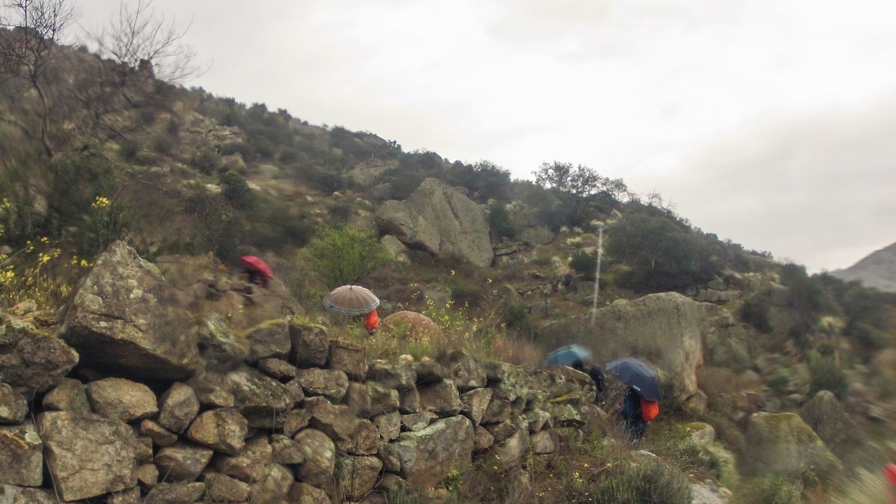 FozSabor Ao Douro12032022 GOPR0040