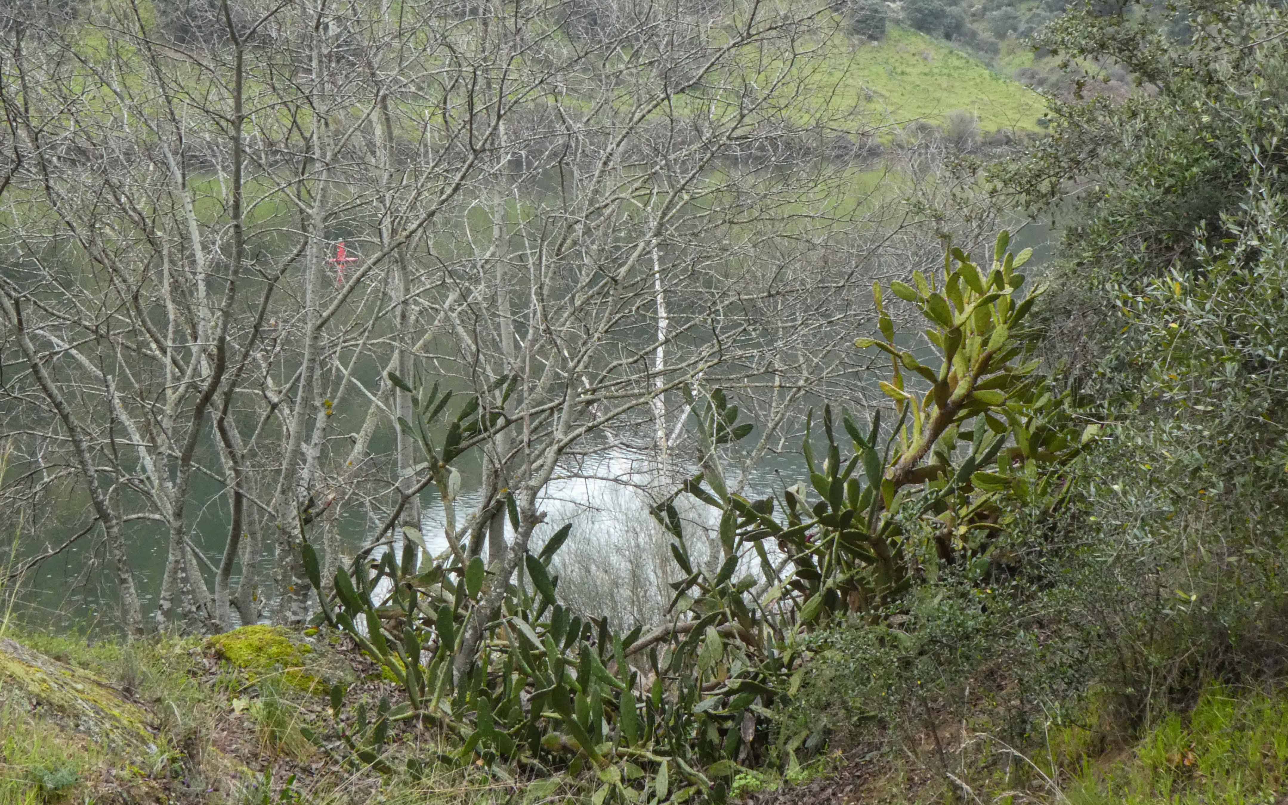 FozSabor Ao Douro12032022 P1010187