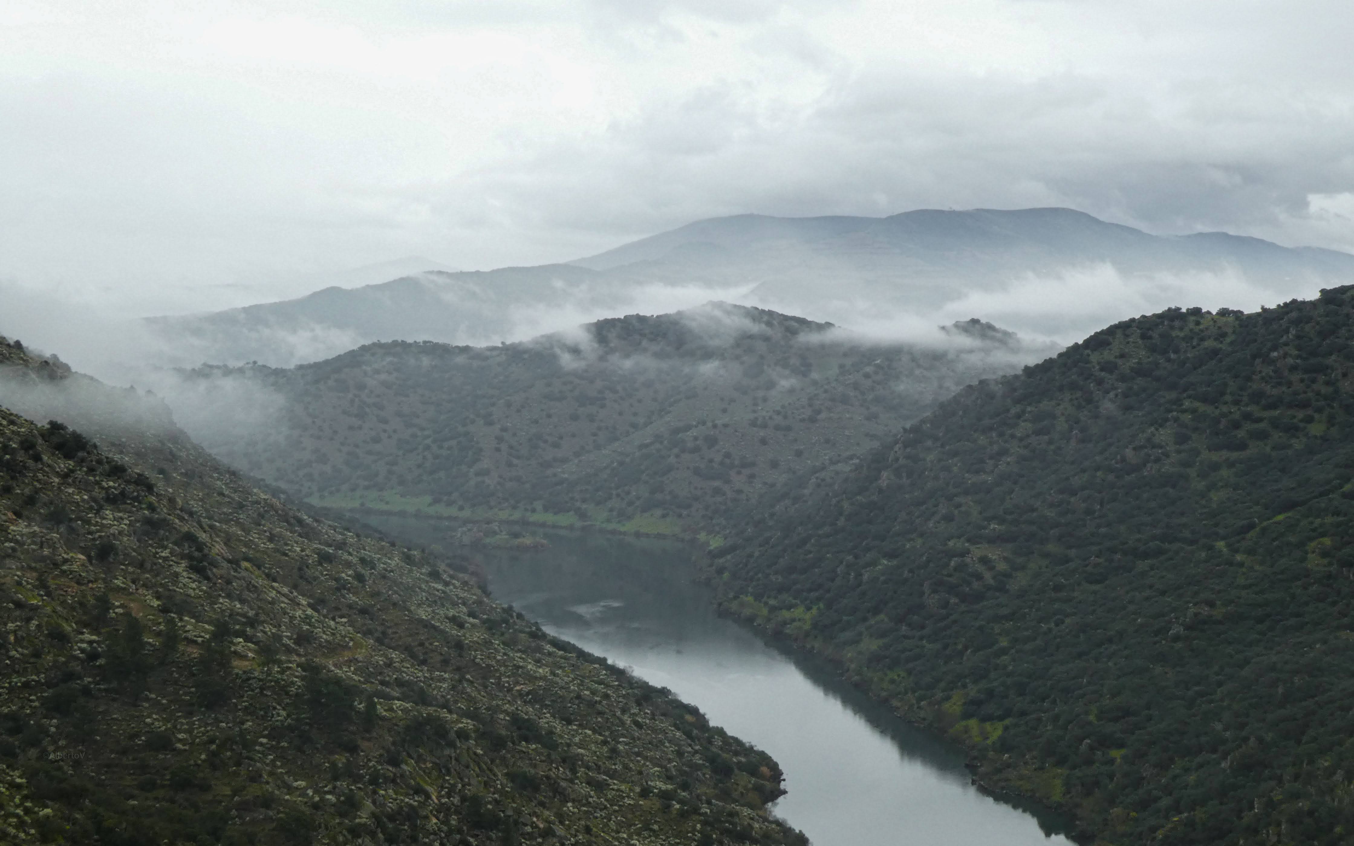 FozSabor Ao Douro12032022 P1010190 2