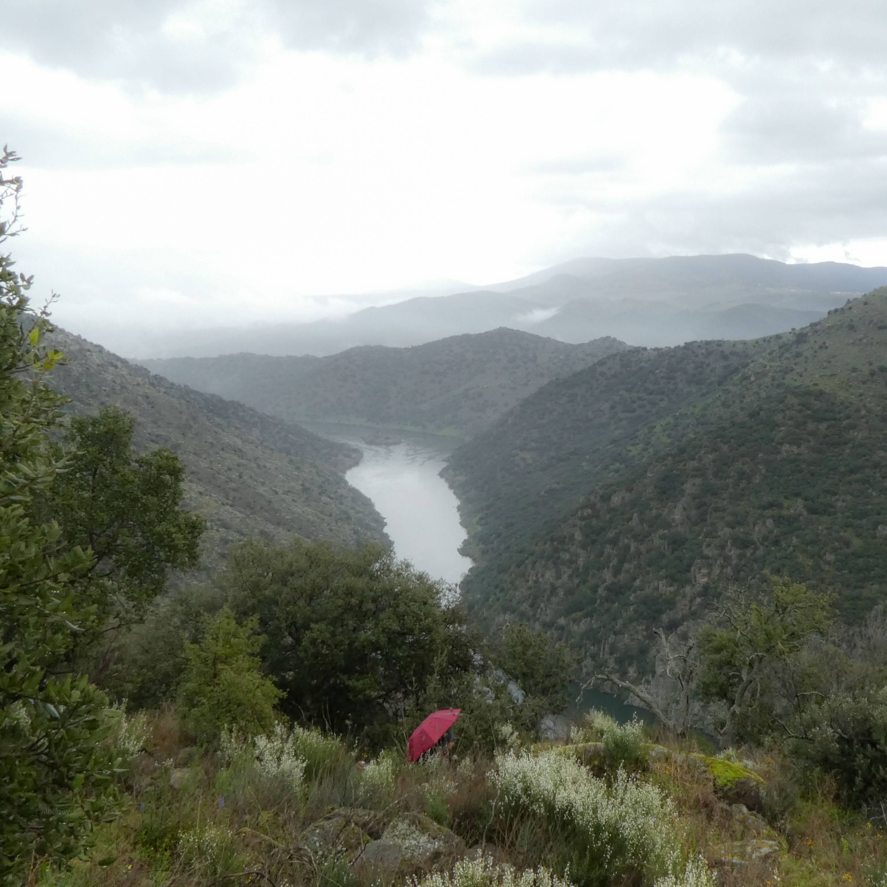 FozSabor Ao Douro12032022 P1010198