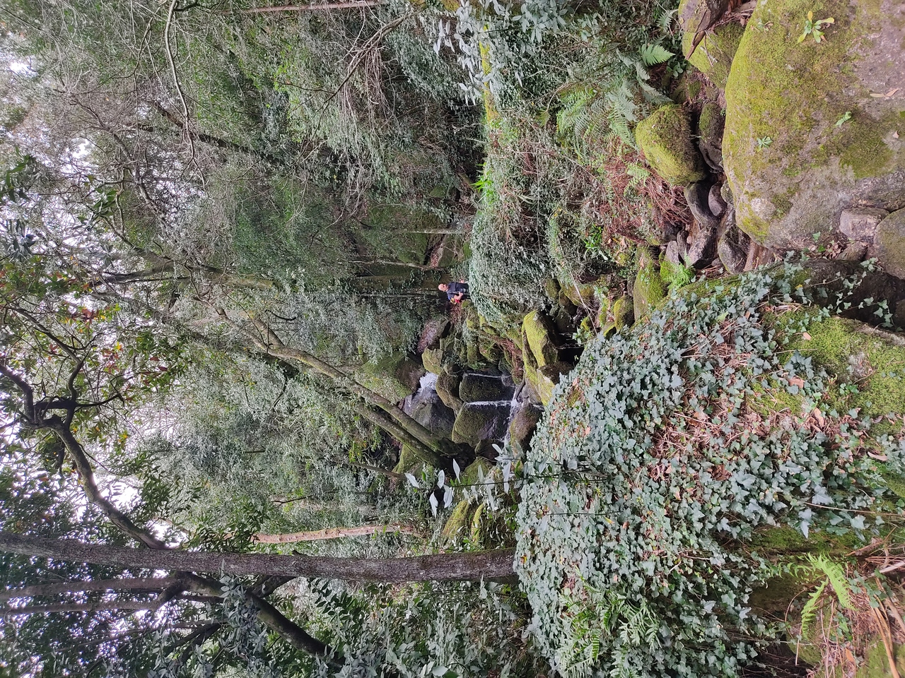 IMG 20220212 133210