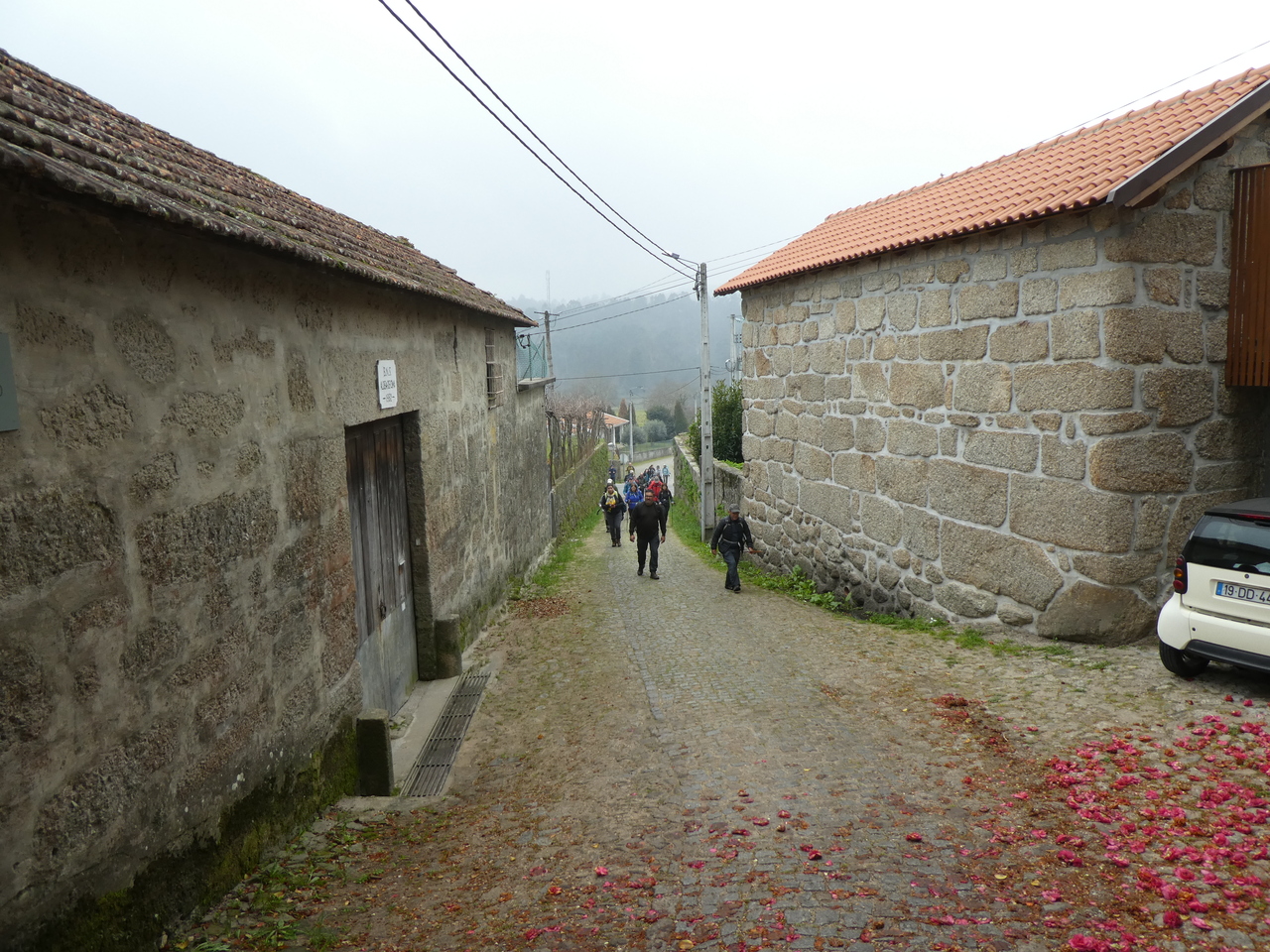 P1010056