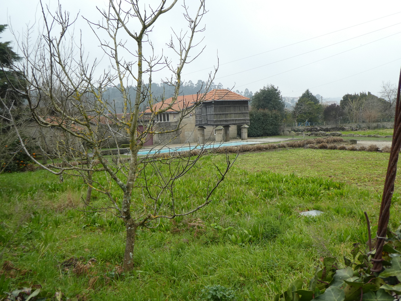 P1010058