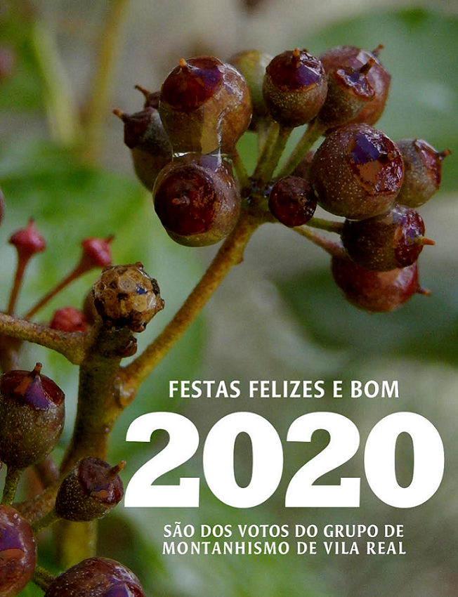 boas festas 2019 B