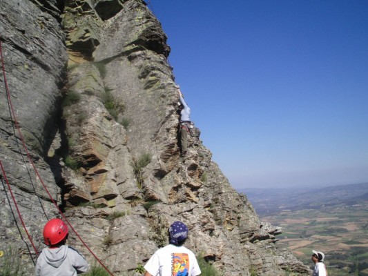 Img 1230405899 445