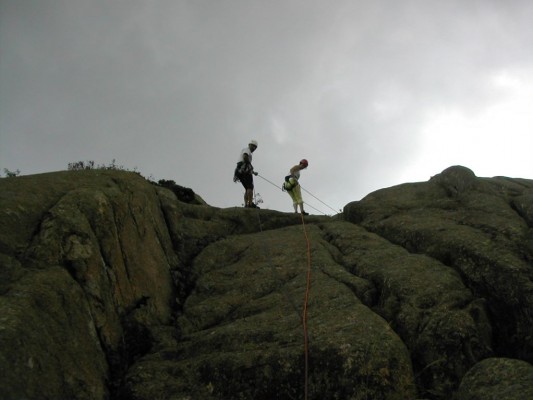 Img 1230406540 346