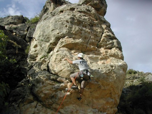 Img 1230406551 14