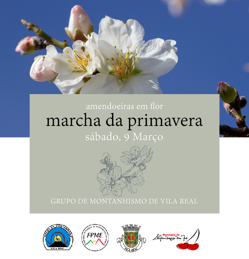 CARTAZ Amendoeiras 2