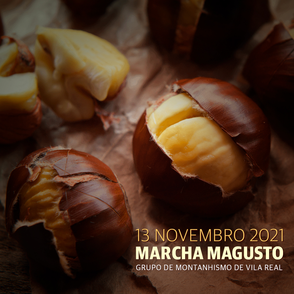 FACEBOOK magusto 2021
