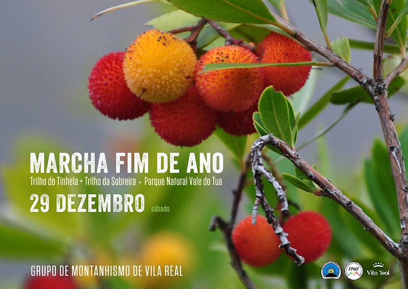 FIM DE ANO2018