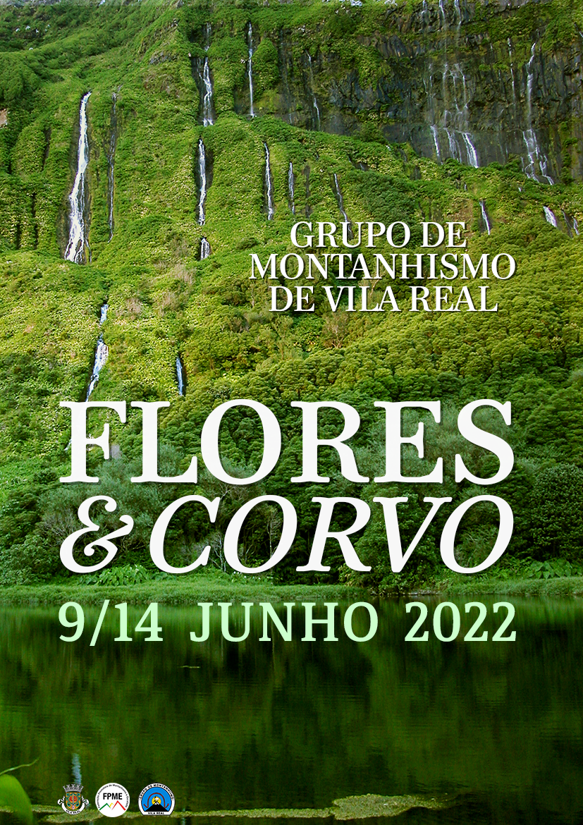 Ilha das Flores Net