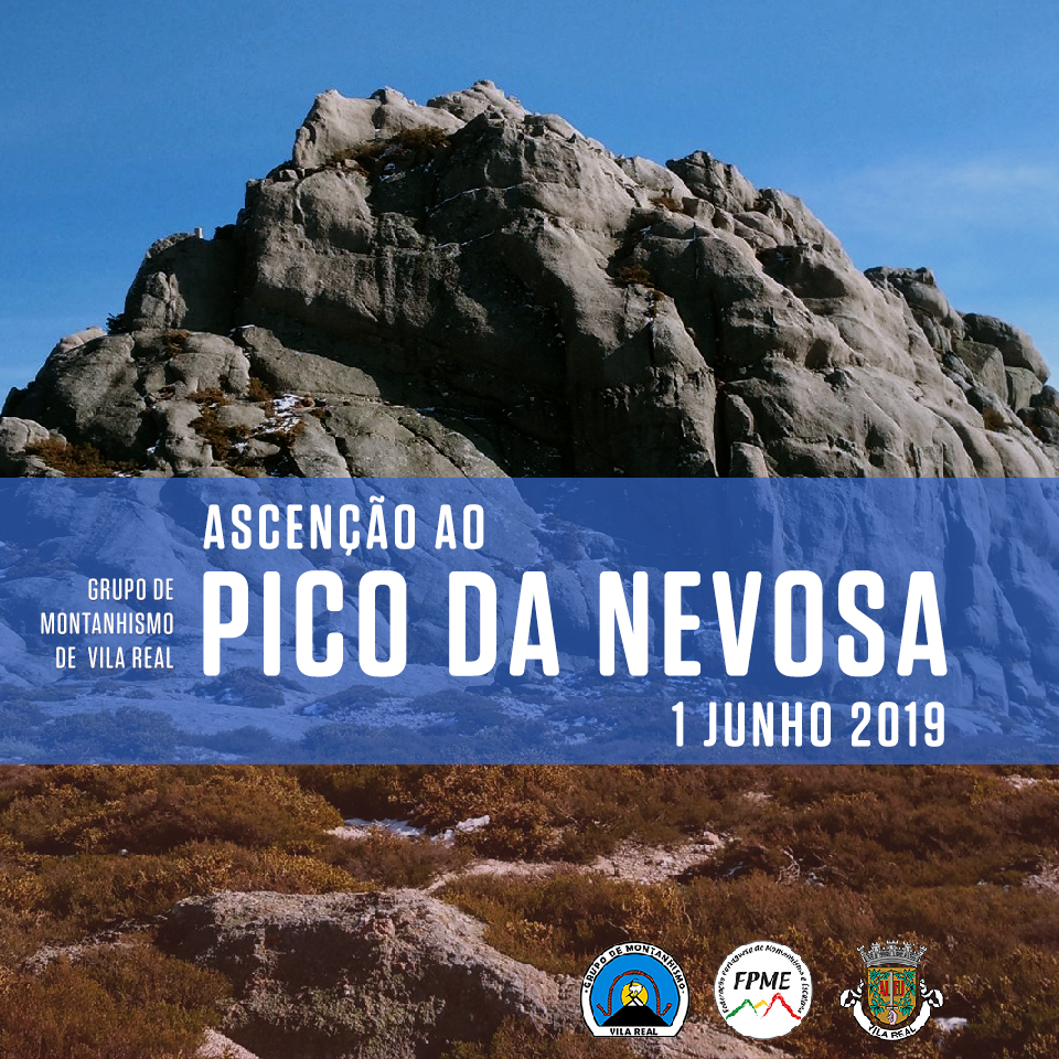 JUNHO ASCENÇAO PICO face