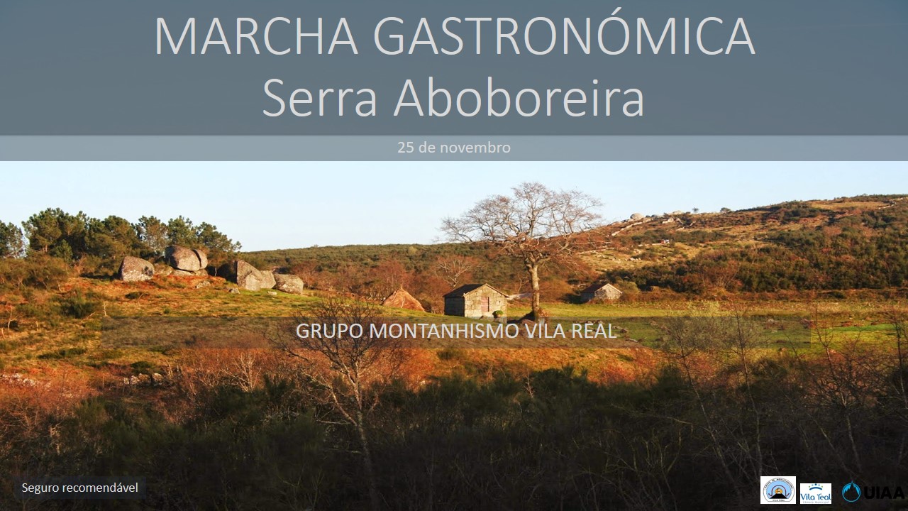 Marcha gastronómica 2017