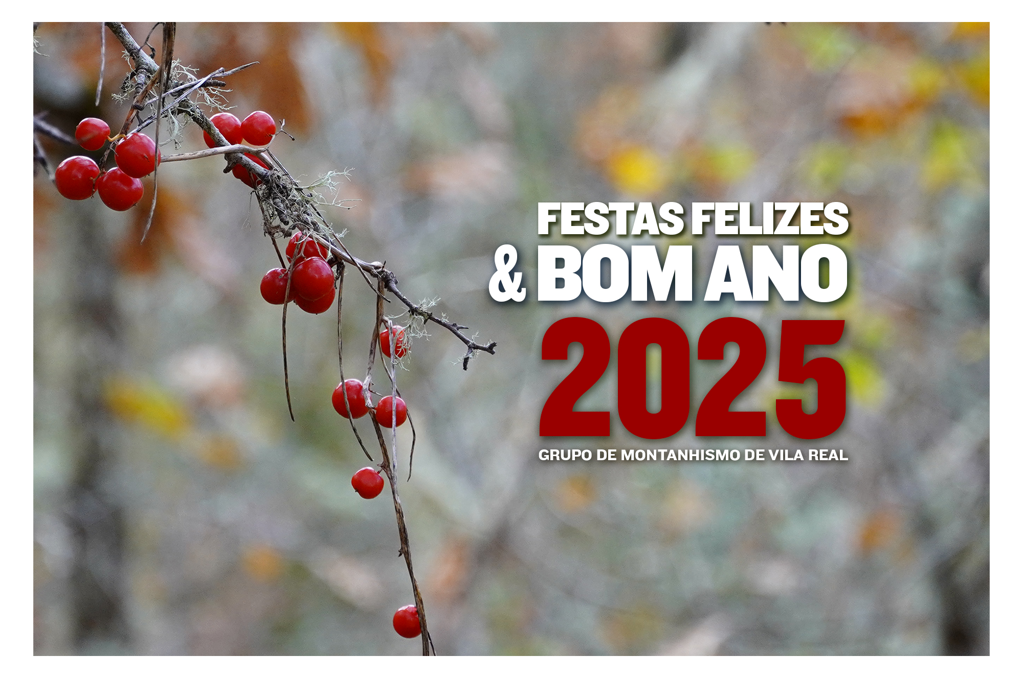 NET FACE BOAS FESTAS 2025 verso B
