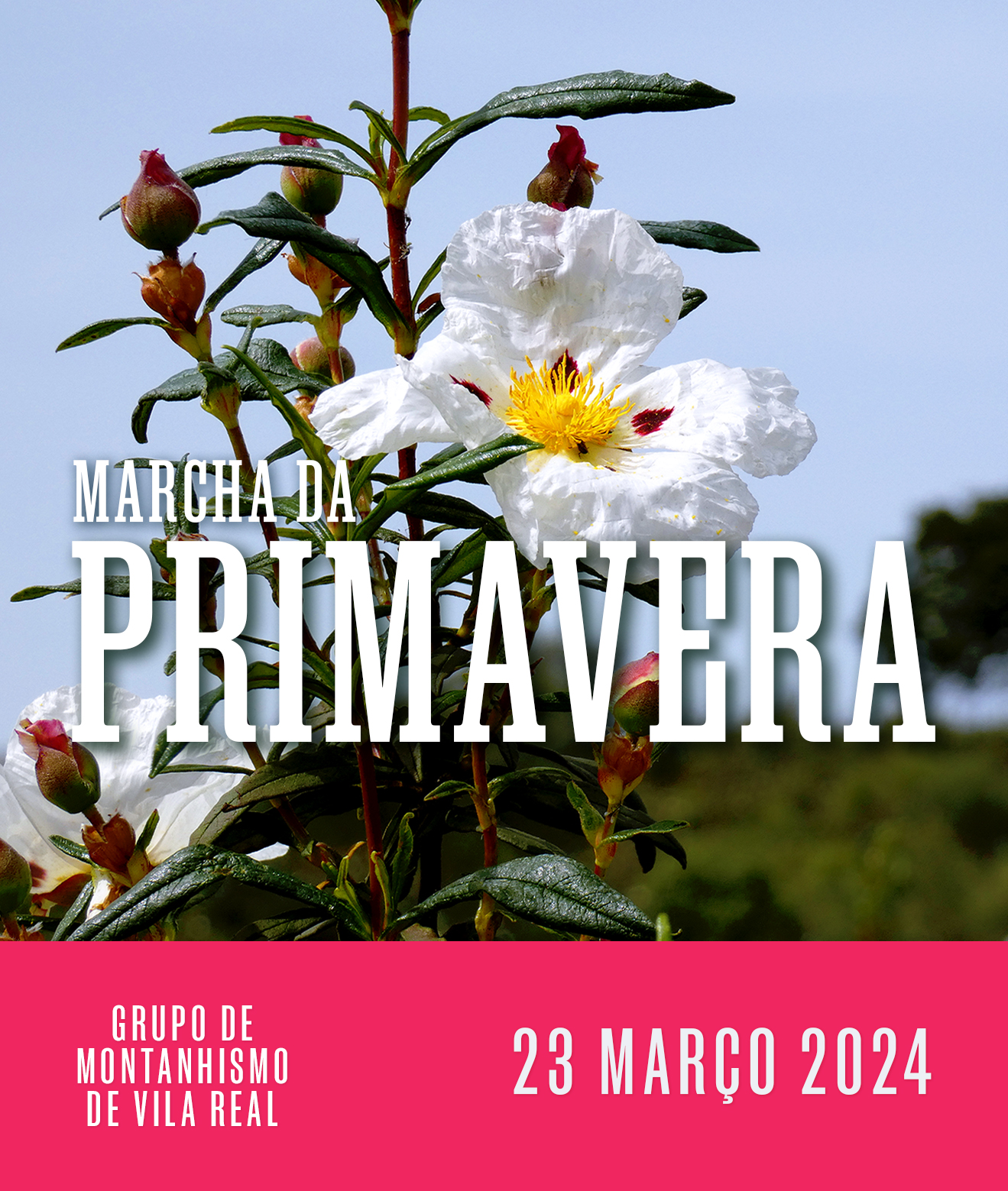 NET GMVR MARCHA PRIMAVERA 2024