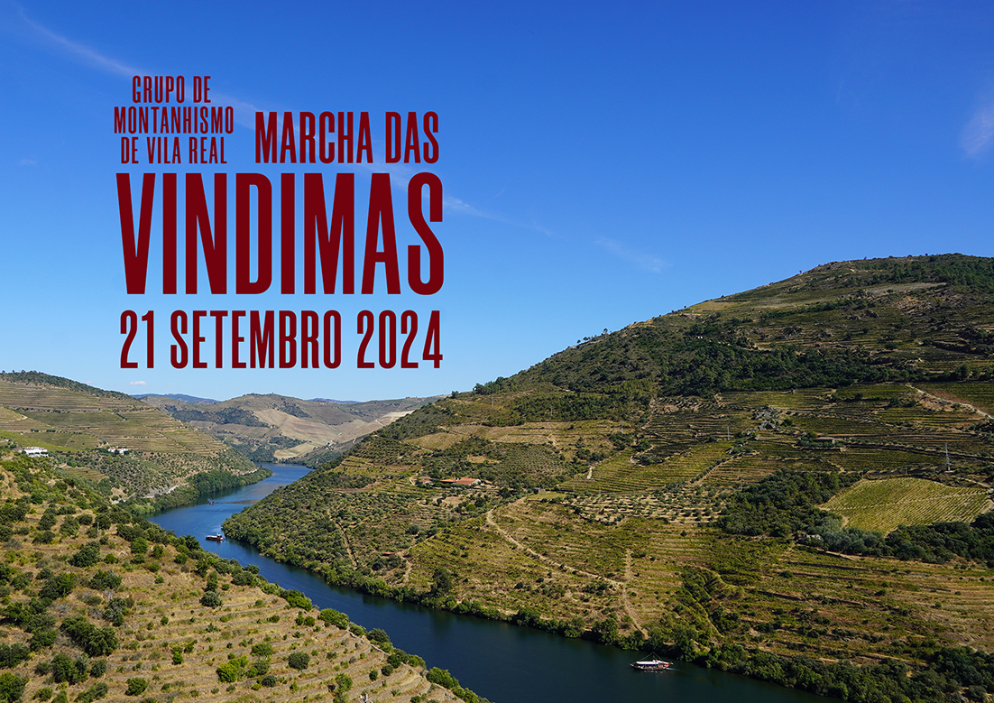 NET GMVRL VINDIMA 2024