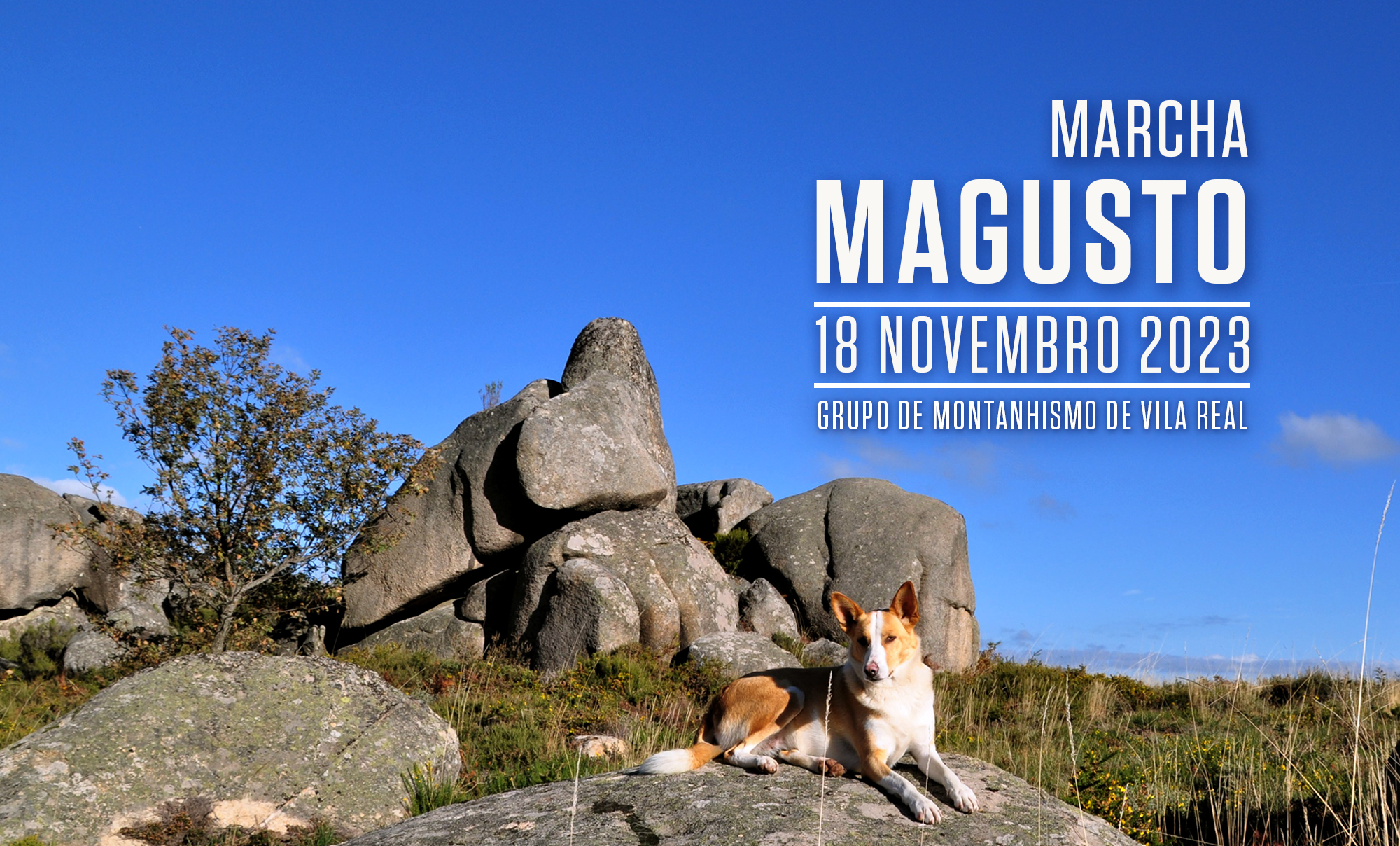 NET MARCHA magusto 023