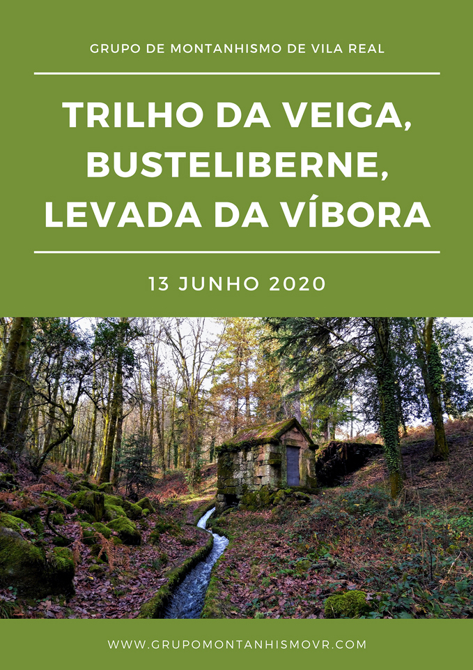 NETFACE LEVADA DA VIBORA