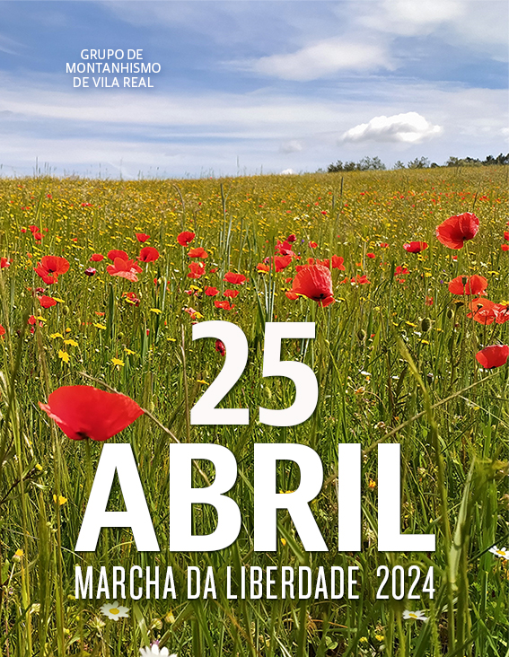 SITE GMVR SITE 25 ABRIL 2024