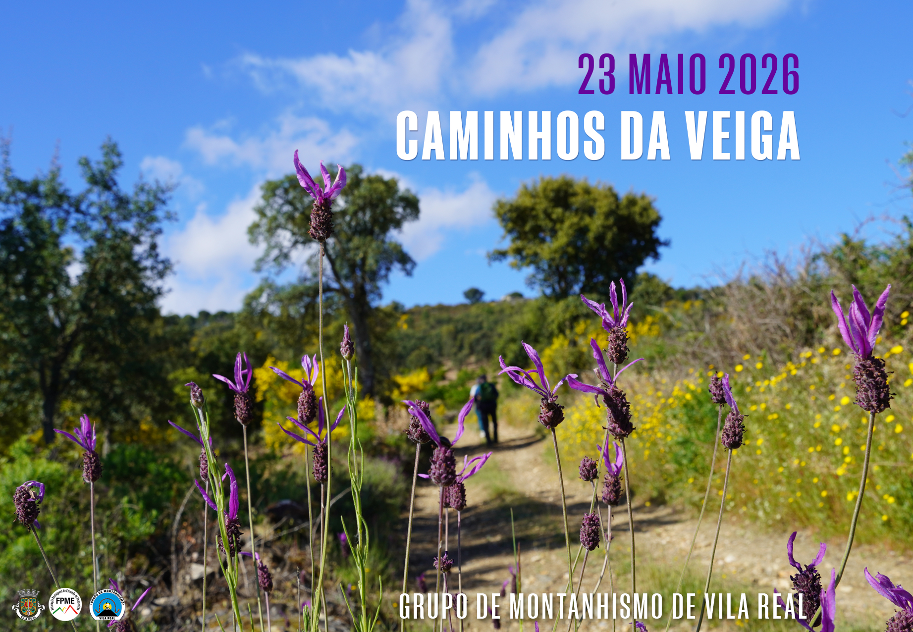 SITE 23 MAIO 2026 