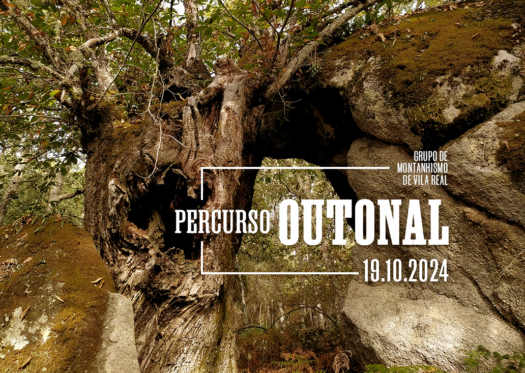 SITE OUTONAL2024