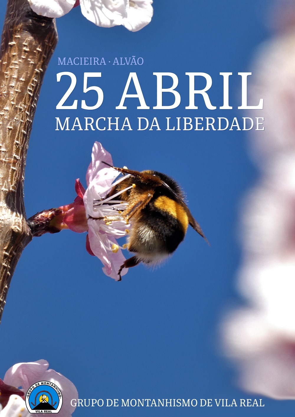 marcha 25 Abril 2021