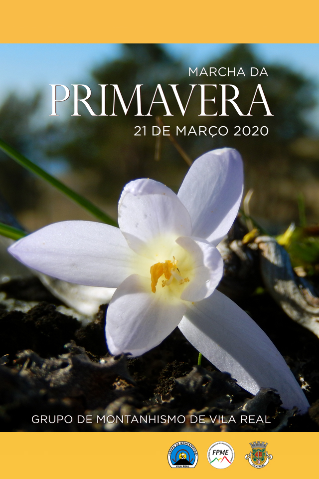 marcha Primavera face 640 x960