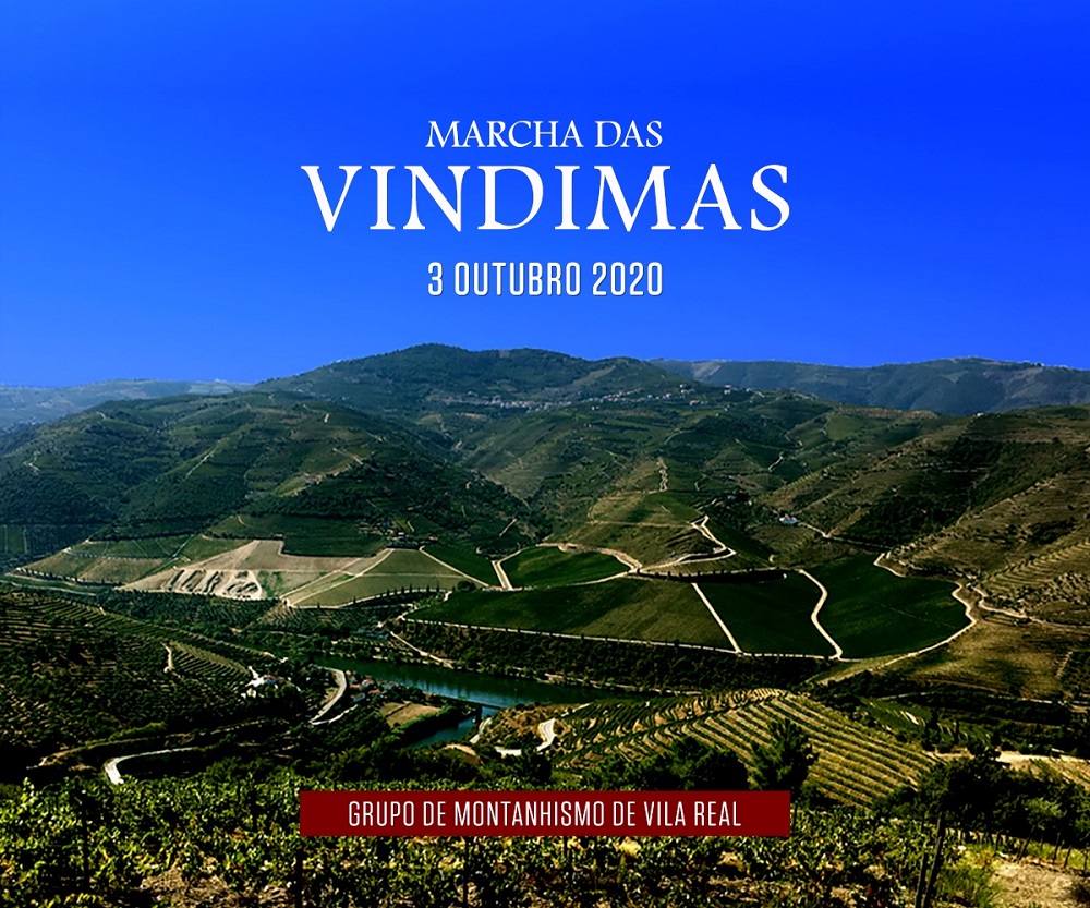 marcha vindima net