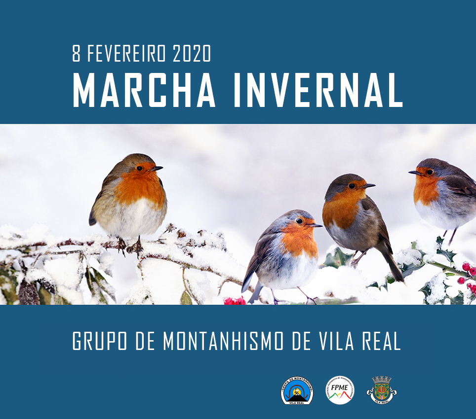 site faceb MARCHA INVERNO 8 FEVEREIRO